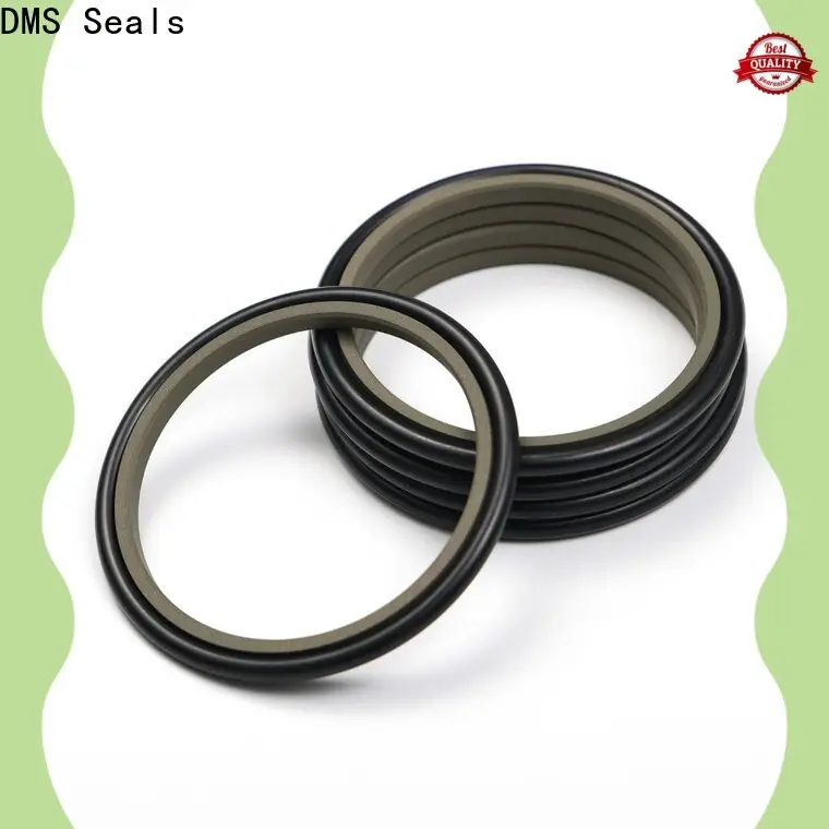 DMS Seals hydraulic cylinder seal kits manufacturer for sale 1