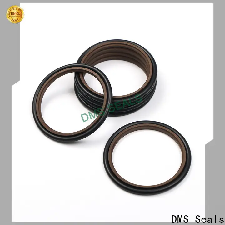 DMS Seals Top rod seal catalogue vendor to high and low speed 1
