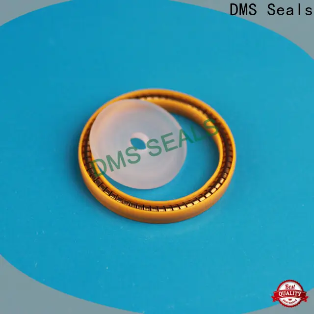 DMS Seals flex seal manufacturer factory 1