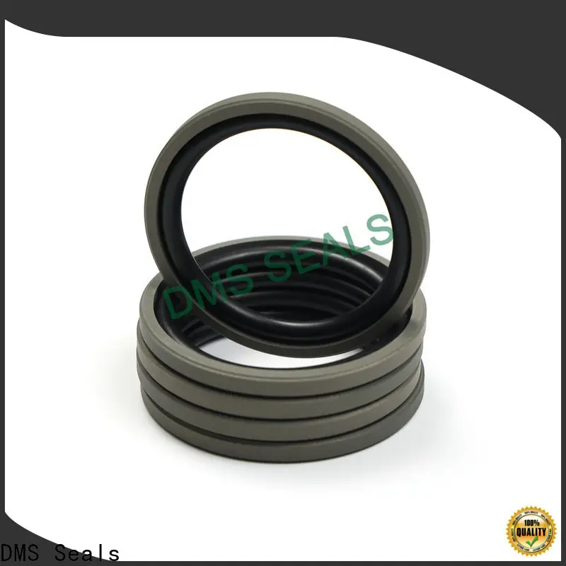 DMS Seals high efficiency hydraulic wiper seals for injection molding machines 1