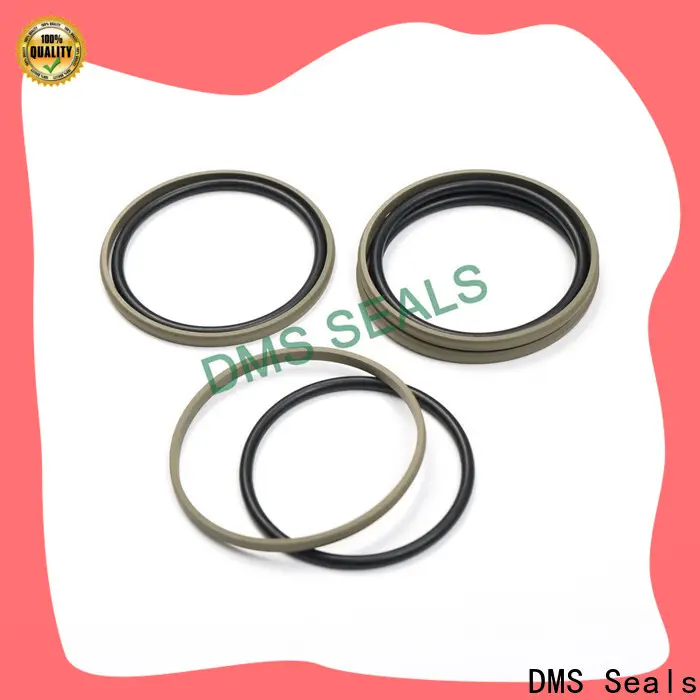 DMS Seals hydraulic pump seals suppliers manufacturer for sale 1
