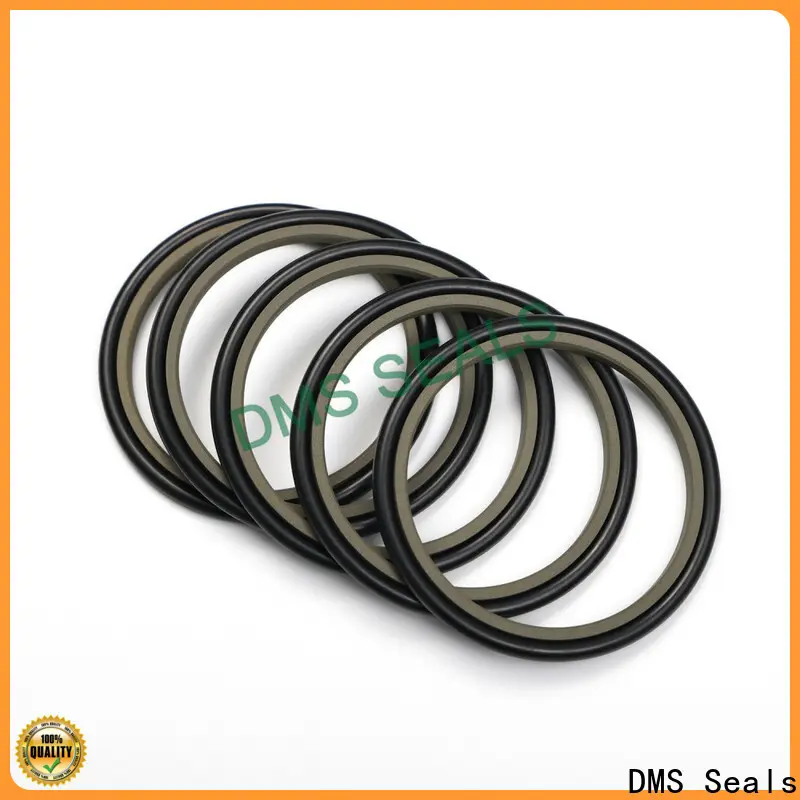 DMS Seals hydraulic rod seals online manufacturer for pressure work and sliding high speed occasions 1