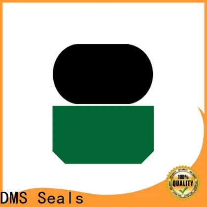 DMS Seals seal pneumatics inc vendor for sale1 1