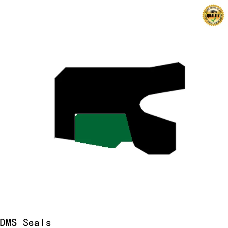 DMS Seals Top hydraulic rod seals online factory to high and low speed 1