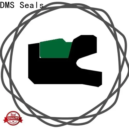 DMS Seals double acting seal supply for light and medium hydraulic systems 1