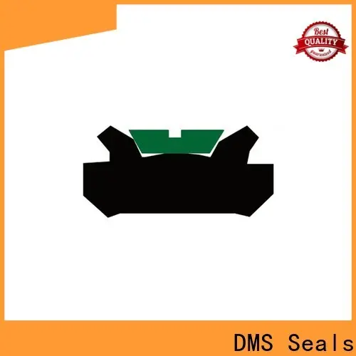 DMS Seals hydraulic cylinder seal design supply for light and medium hydraulic systems 1