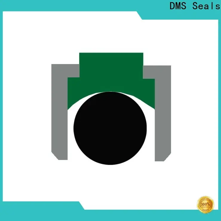 Best shaft wiper seal factory for pneumatic equipment 1
