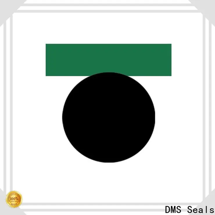 DMS Seals hydraulic press seals company for light and medium hydraulic systems 1