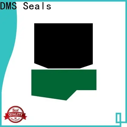DMS Seals Top pneumatic rubber seals wholesale to high and low speed 1
