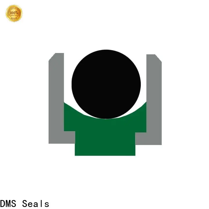 DMS Seals hydraulic seal design wholesale for pressure work and sliding high speed occasions 1
