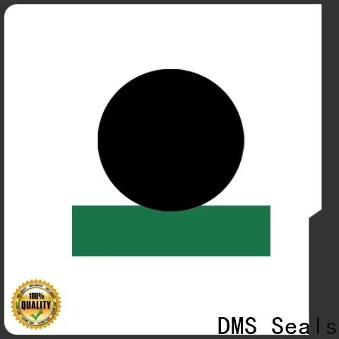 DMS Seals Best wholesale hydraulic seals vendor for pressure work and sliding high speed occasions 1