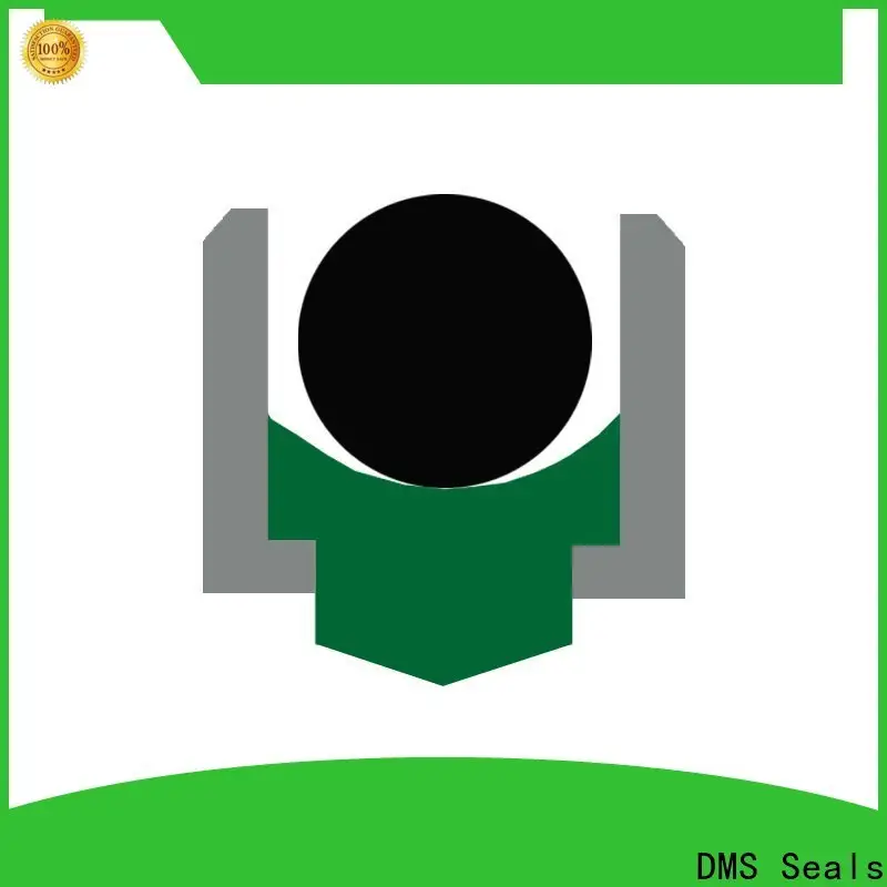 DMS Seals New labyrinth shaft seal company for construction machinery 1
