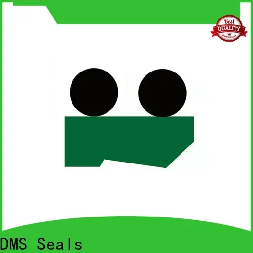 DMS Seals u cup seal sizes factory for cranes 1