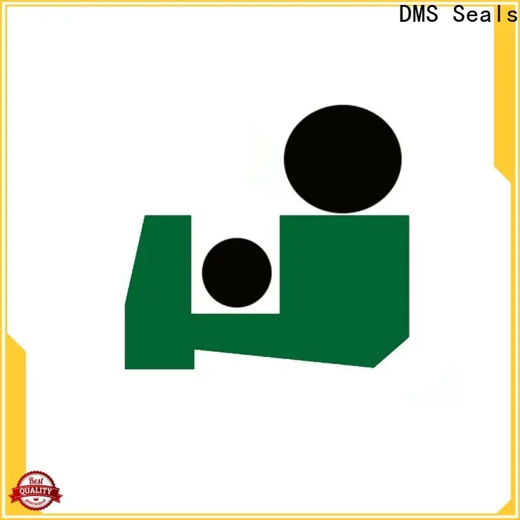 DMS Seals piston ring design guide factory for injection molding machines 1