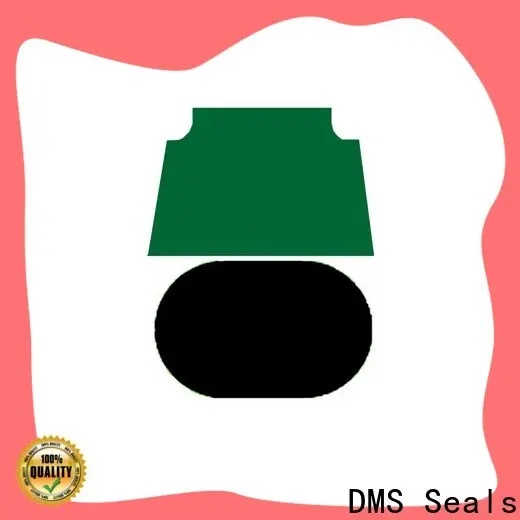 DMS Seals Custom hydraulic piston seals wholesale for pneumatic equipment 1