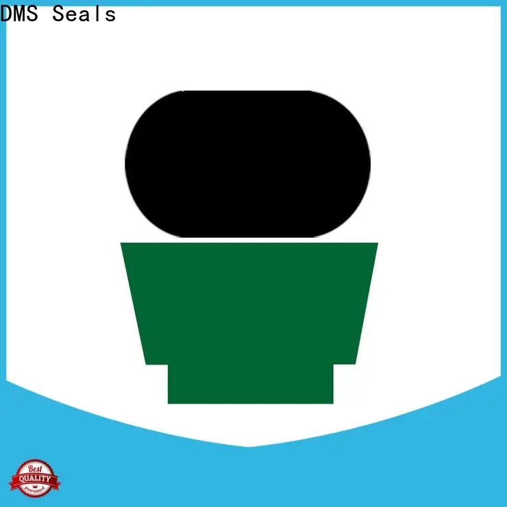 DMS Seals cheap oil seals manufacturer for pressure work and sliding high speed occasions 1