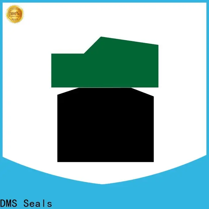 DMS Seals seals for hydraulic pumps factory price for pneumatic equipment 1