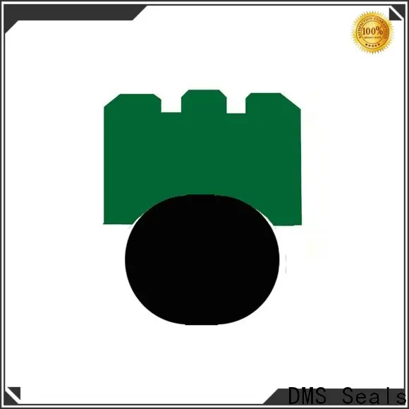 DMS Seals DMS Seals national oil seal lookup factory price for automotive equipment 1
