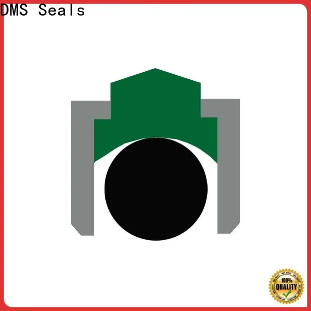 DMS Seals mechanical seal pressure company for construction machinery 1