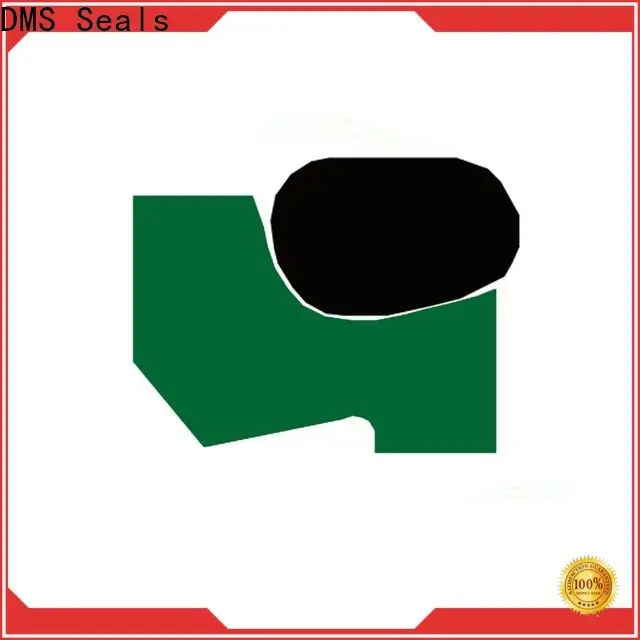 DMS Seals cylinder rod wiper factory price for agricultural machinery 1