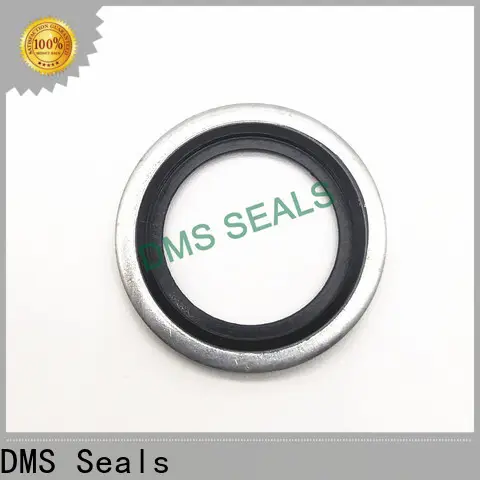 DMS Seals Customized bonded seal kit vendor for fast and automatic installation 1