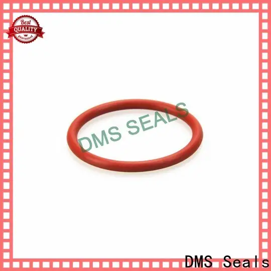 DMS Seals giant o ring in highly aggressive chemical processing 1