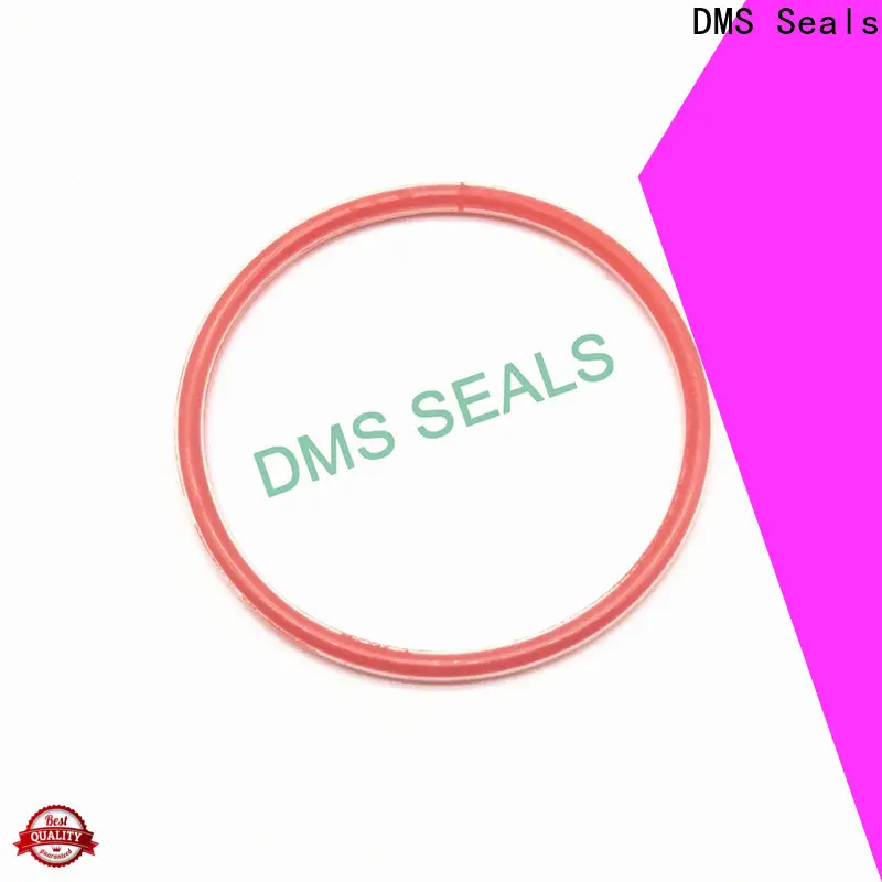 DMS Seals metric wiper seal supplier in highly aggressive chemical processing 1