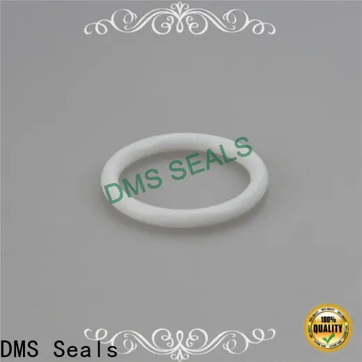 DMS Seals silicone o rings clear vendor in highly aggressive chemical processing 1