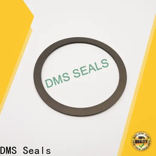 DMS Seals 3mm rubber gasket factory for liquefied gas 1