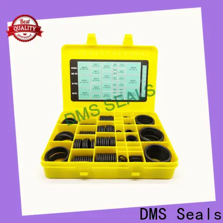 DMS Seals professional o ring seal kit supplier For sealing products 1