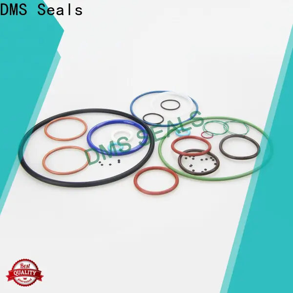 DMS Seals o ring stockist wholesale in highly aggressive chemical processing 1