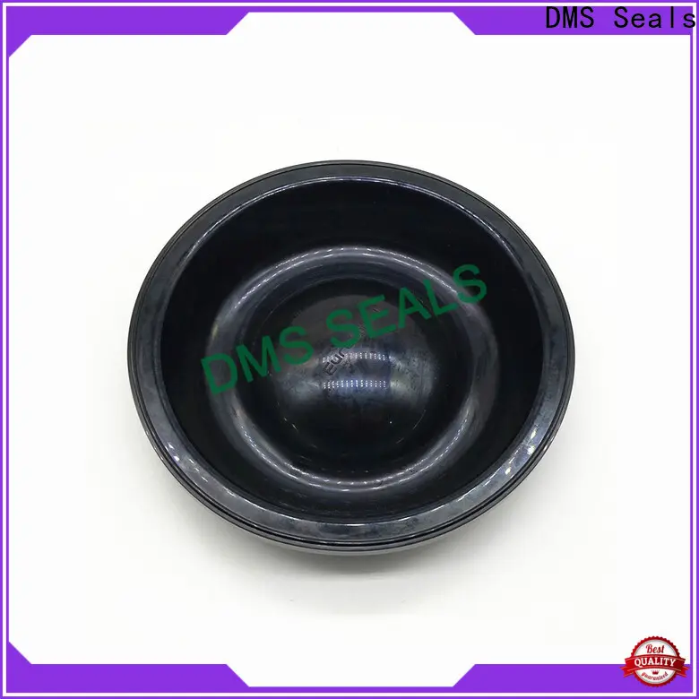 DMS Seals rubber door trim moulding manufacturer for air bottle 1