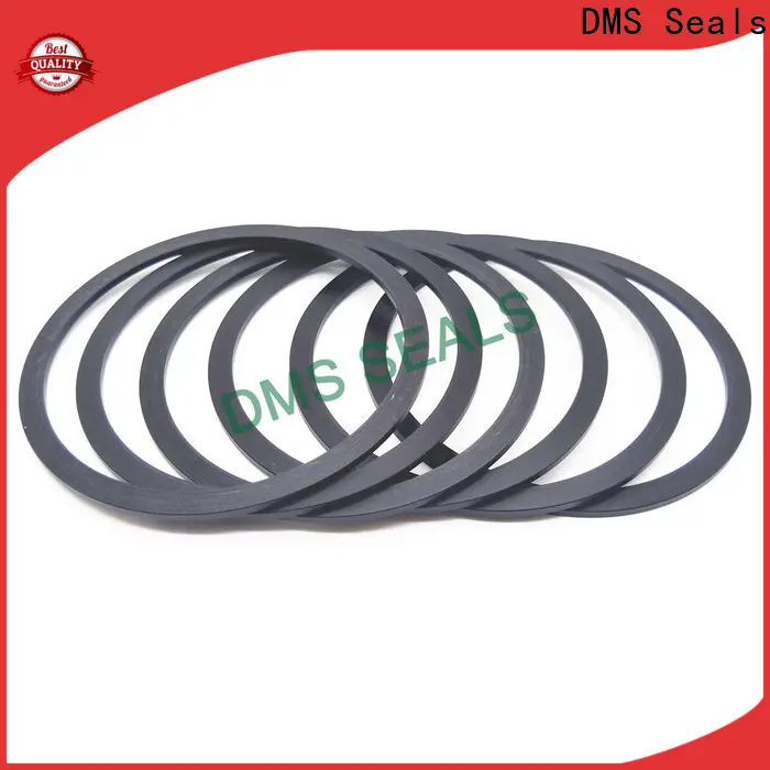 DMS Seals gasket material for gas factory for preventing the seal from being squeezed 1