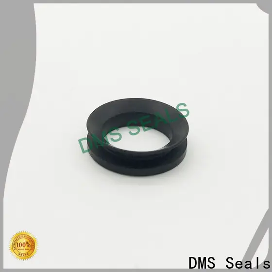 DMS Seals extruded rubber window seals for sale for air bottle 1