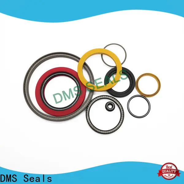 DMS Seals spring energized seal design supplier for reciprocating piston rod or piston single acting seal 1