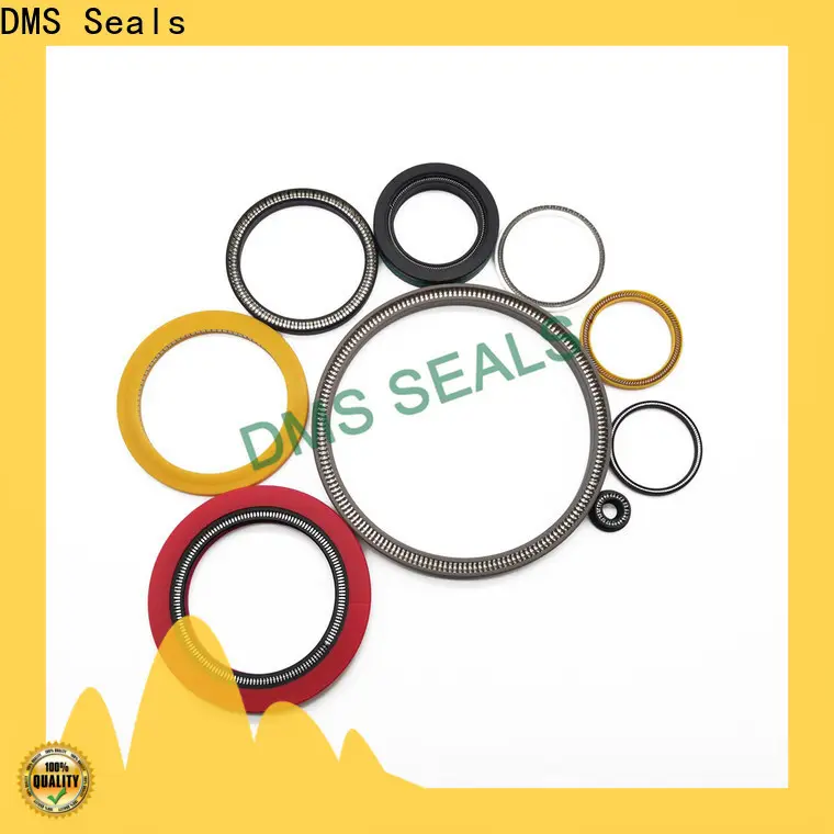 DMS Seals Latest multi spring seal cost for reciprocating piston rod or piston single acting seal 1