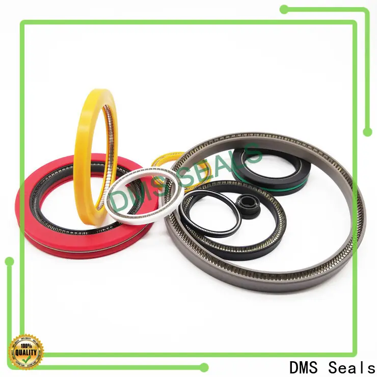 DMS Seals Top spiral spring gasket factory for reciprocating piston rod or piston single acting seal 1