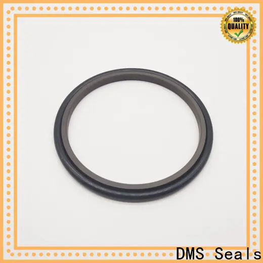 Buy mechanical shaft seal manufacturers factory for larger piston clearance 1