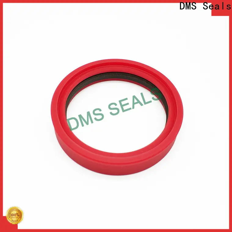 DMS Seals Customized rubber seal strip suppliers supply 1