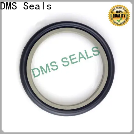 DMS Seals Top rubber seal strip suppliers company for larger piston clearance 1