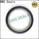 DMS Seals Top rubber seal strip suppliers company for larger piston clearance 1