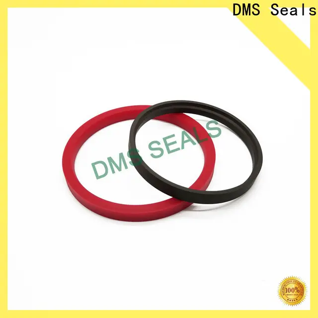 DMS Seals dowty seal manufacturer company 1