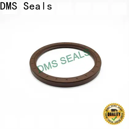 DMS Seals Customized metric lip seals for housing 1