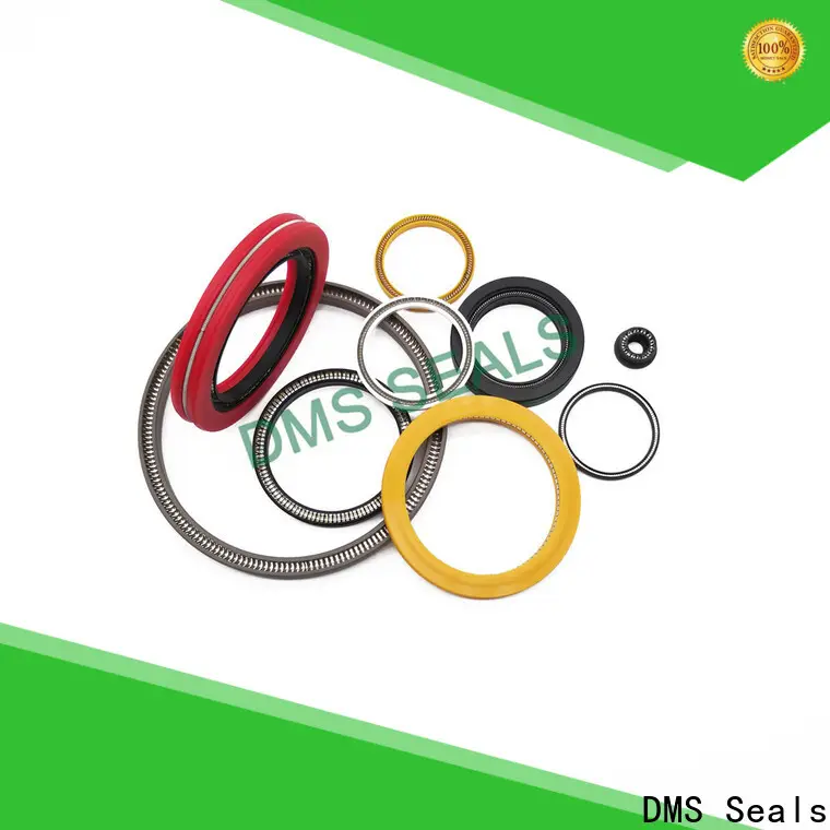 DMS Seals spring energised seal factory for acidizing 1