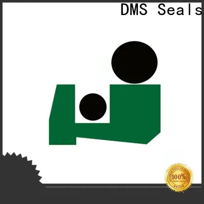 DMS Seals DMS Seals metal clad rod wiper seals cost for injection molding machine 1