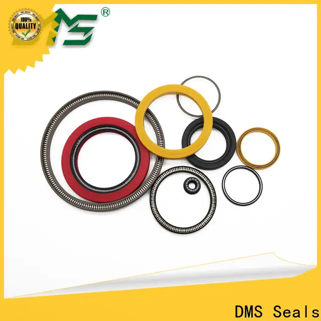 DMS Seals spring energised seal wholesale for choke lines 1