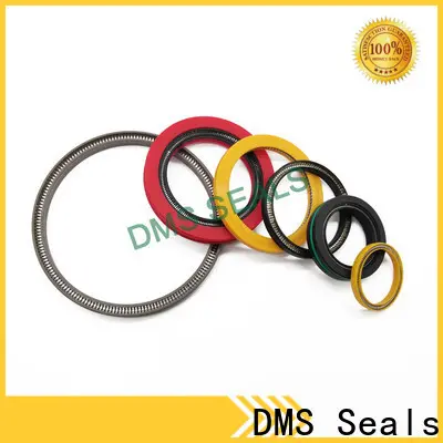 DMS Seals Custom made spring energized teflon seals price for choke lines 1
