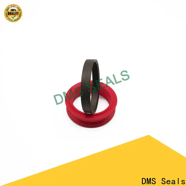 DMS Seals glyd ring supply for piston and hydraulic cylinder 1