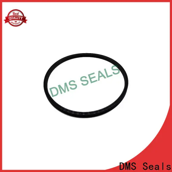 DMS Seals Quality seals gaskets suppliers price for larger piston clearance 1