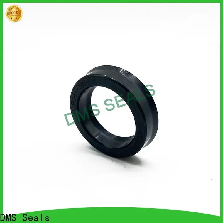 DMS Seals Top double mechanical seal centrifugal pump factory for piston and hydraulic cylinder 1